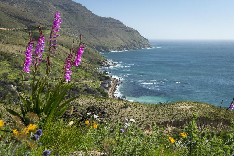 Tintswalo Atlantic Βίλα Hout Bay Εξωτερικό φωτογραφία